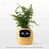 SearchFindOrder Yellow AI Plant Pot