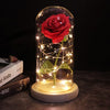 SearchFindOrder 1 Magic LED Eternal Enchanted Rose