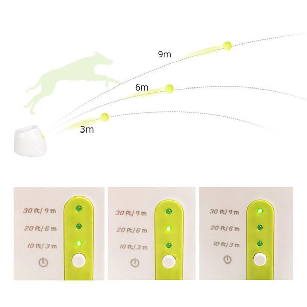 SearchFindOrder Automatic Fetch and Catch Ball Thrower