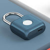 SearchFindOrder Blue Fingerprint Padlock