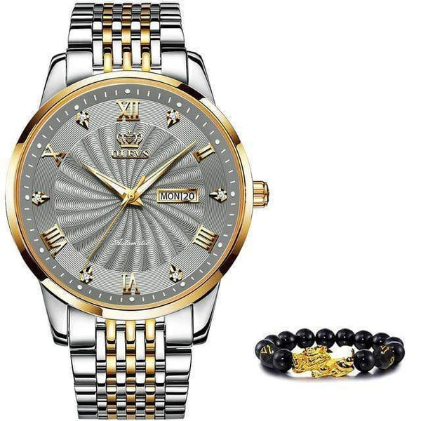 SearchFindOrder Grey Men Mechanical Luxury Automatic Stainless Steel Waterproof Watch