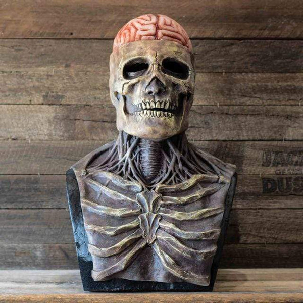 SearchFindOrder halloween Realistic Skull Zombie Mask