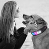 SearchFindOrder LED Display Dog Collar