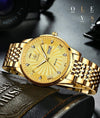 SearchFindOrder Men Mechanical Luxury Automatic Stainless Steel Waterproof Watch