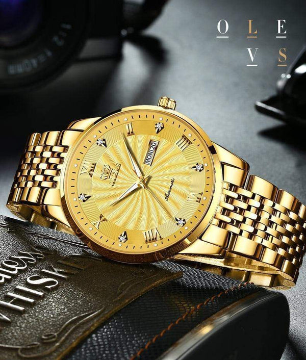 SearchFindOrder Men Mechanical Luxury Automatic Stainless Steel Waterproof Watch
