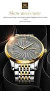 SearchFindOrder Men Mechanical Luxury Automatic Stainless Steel Waterproof Watch