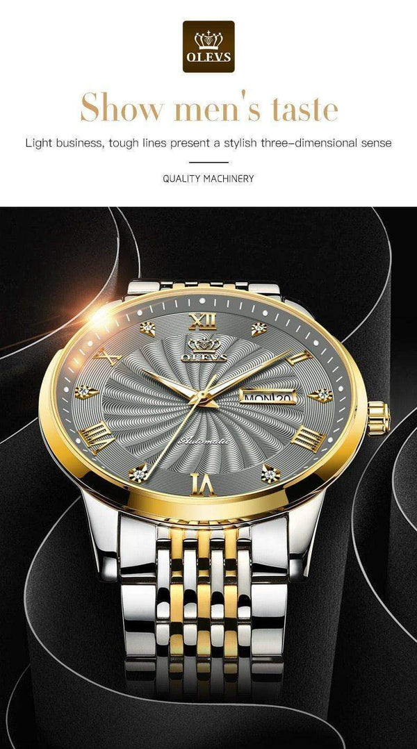 SearchFindOrder Men Mechanical Luxury Automatic Stainless Steel Waterproof Watch