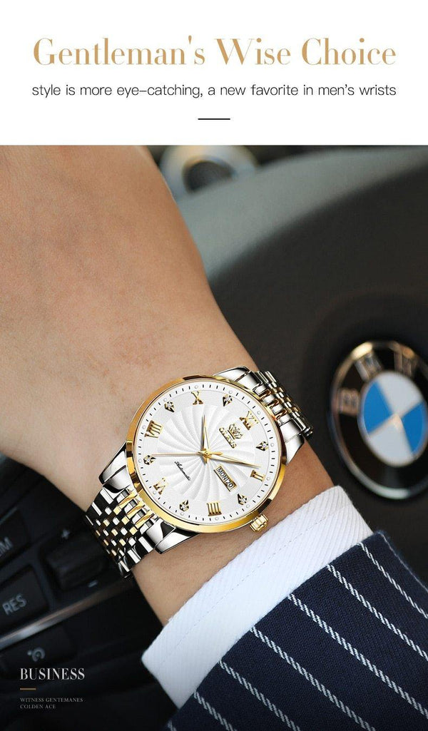 SearchFindOrder Men Mechanical Luxury Automatic Stainless Steel Waterproof Watch