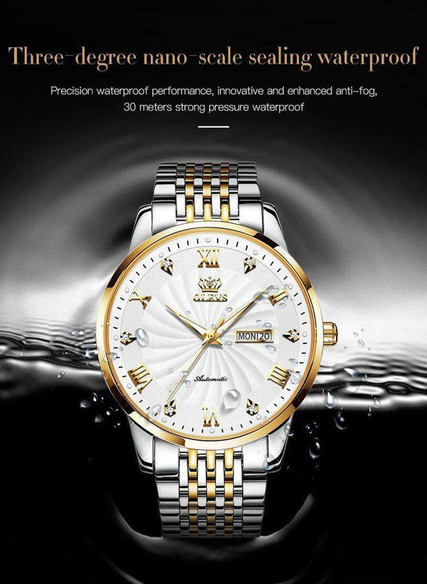 SearchFindOrder Men Mechanical Luxury Automatic Stainless Steel Waterproof Watch