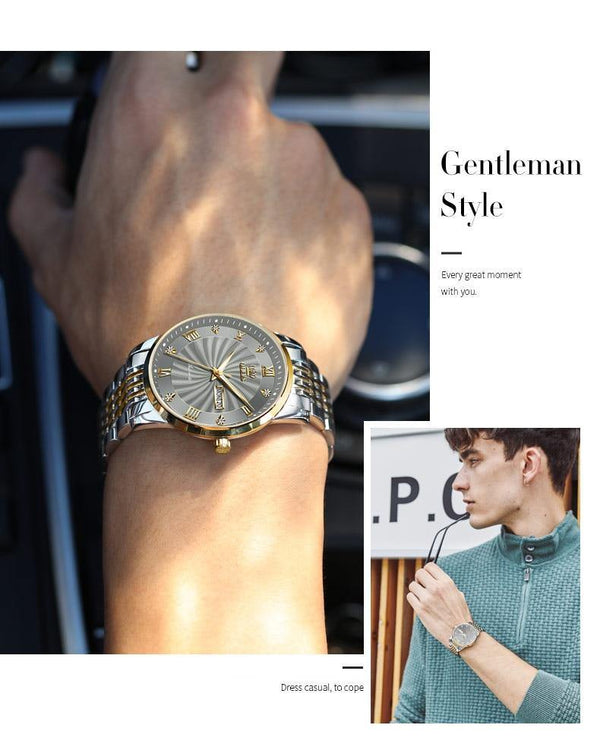 SearchFindOrder Men Mechanical Luxury Automatic Stainless Steel Waterproof Watch