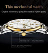 SearchFindOrder Men Mechanical Luxury Automatic Stainless Steel Waterproof Watch