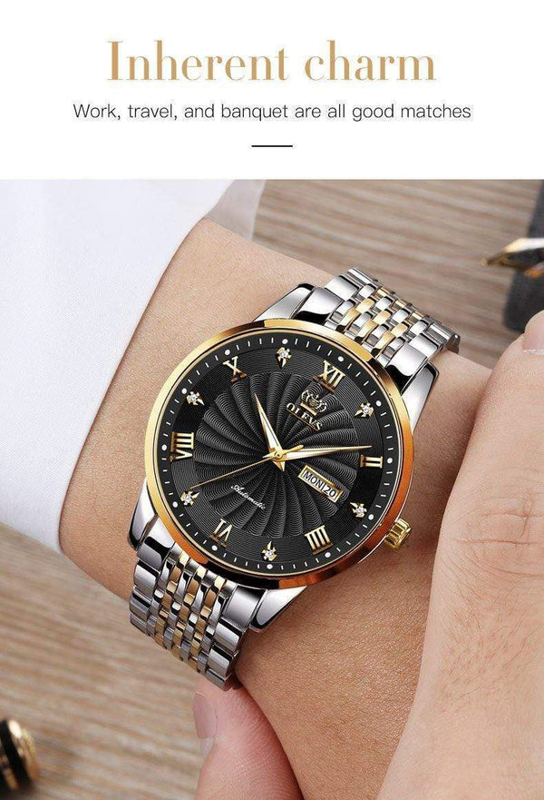 SearchFindOrder Men Mechanical Luxury Automatic Stainless Steel Waterproof Watch