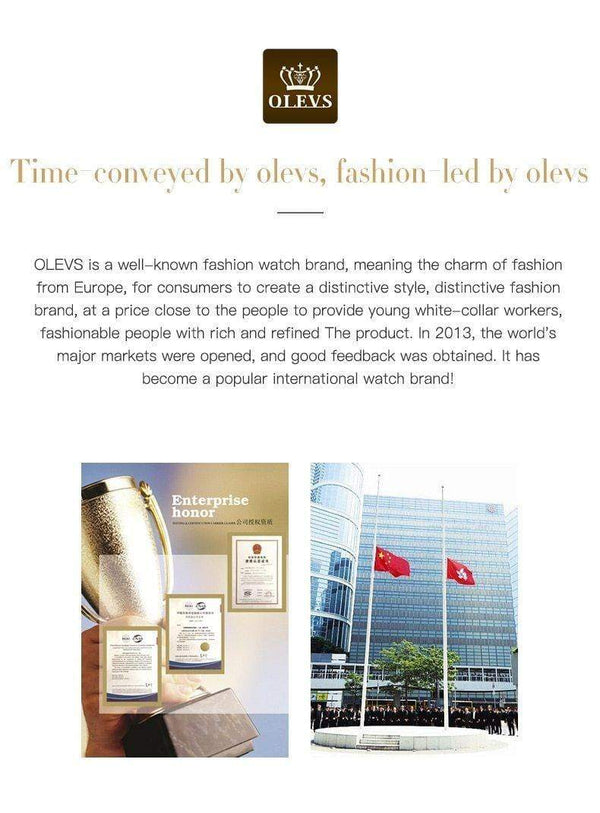SearchFindOrder Men Mechanical Luxury Automatic Stainless Steel Waterproof Watch