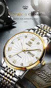 SearchFindOrder Men Mechanical Luxury Automatic Stainless Steel Waterproof Watch