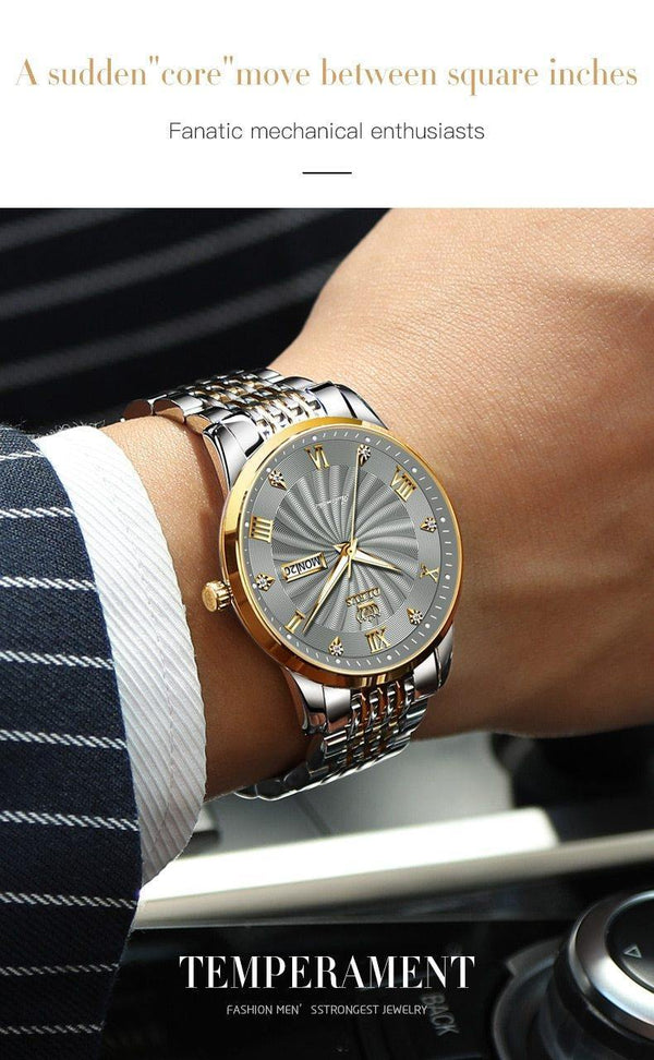 SearchFindOrder Men Mechanical Luxury Automatic Stainless Steel Waterproof Watch