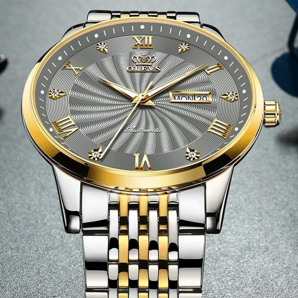 SearchFindOrder Men Mechanical Luxury Automatic Stainless Steel Waterproof Watch