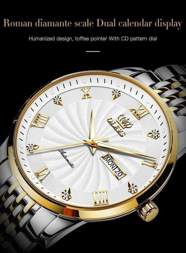 SearchFindOrder Men Mechanical Luxury Automatic Stainless Steel Waterproof Watch