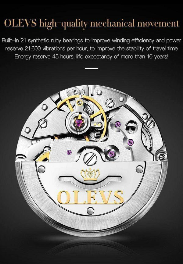 SearchFindOrder Men Mechanical Luxury Automatic Stainless Steel Waterproof Watch