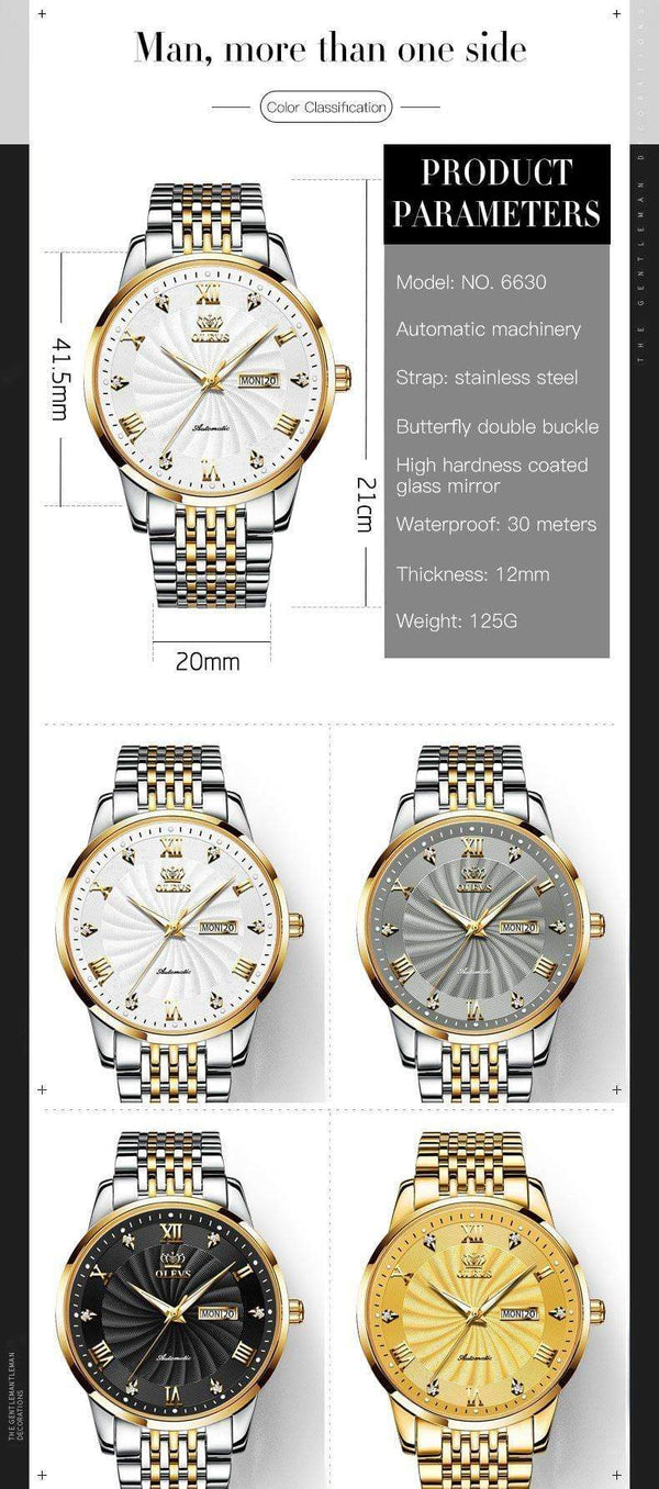 SearchFindOrder Men Mechanical Luxury Automatic Stainless Steel Waterproof Watch