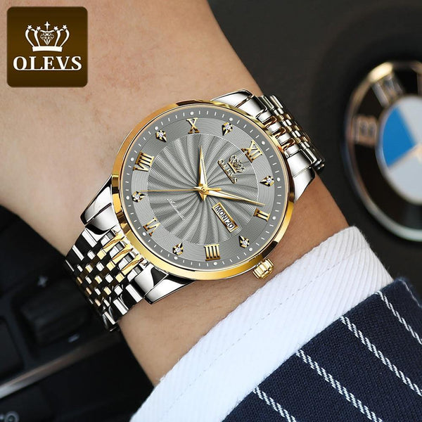 SearchFindOrder Men Mechanical Luxury Automatic Stainless Steel Waterproof Watch