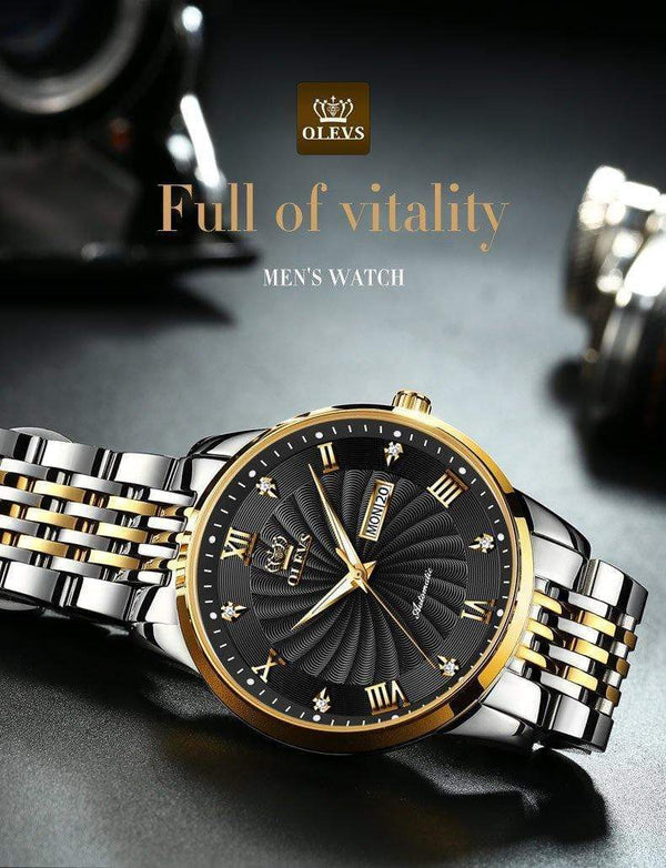 SearchFindOrder Men Mechanical Luxury Automatic Stainless Steel Waterproof Watch