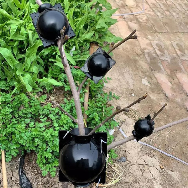 SearchFindOrder Reusable Plant Grafting Ball (10 pcs)