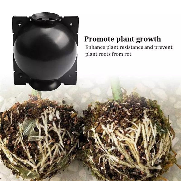 SearchFindOrder Reusable Plant Grafting Ball (10 pcs)