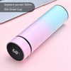 SearchFindOrder SPAIN / pinkblue Intelligent Stainless Steel Thermos with Smart Temperature Display