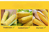 SearchFindOrder Stainless Steel Rotating Corn Thresher Separator Portable Vegetable Fruit Corn Tools Kitchen Gadgets