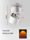 LED Sunset Lamp – Adjustable COB Spotlight Wall Washing Ceiling Light for Living Room & Bedroom