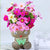 SearchFindOrder 1pcs-NO.04 DIY Grass Head Doll Indoor Decoration