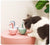 SearchFindOrder 360 Rotating Automatic Laser Cat Toys