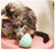 SearchFindOrder 360 Rotating Automatic Laser Cat Toys