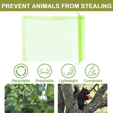 SearchFindOrder Anti-Insect Garden Mesh Bags