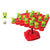 SearchFindOrder as picture show Balancing Frog Toys