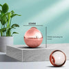 SearchFindOrder B-Rose gold Reusable Lint Roller Hair Remover Ball