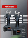 SearchFindOrder Black Garden Pruning and Fruit Tree Pruning