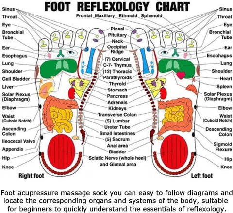SearchFindOrder Foot Massage Acupressure Socks