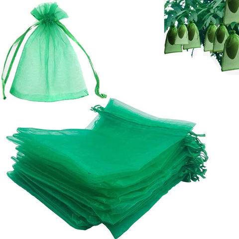 SearchFindOrder Fruit green / 10 x 15 cm(100PCS) Anti-Insect Garden Mesh Bags