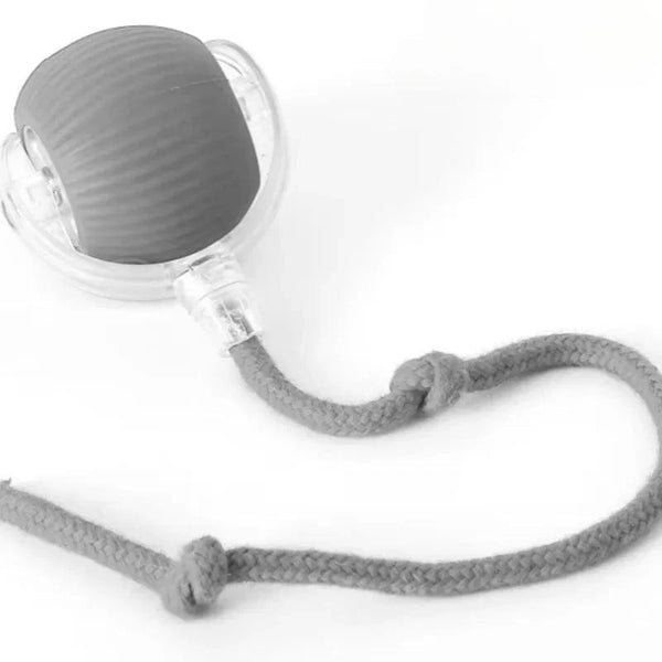 SearchFindOrder Grey Smart Cat Interactive Ball