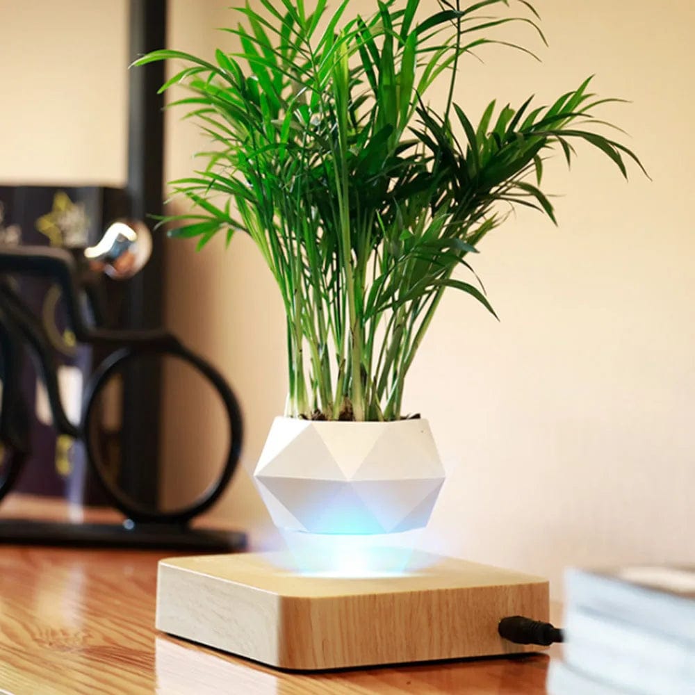 Levitating Rotation Floating Plant Flower Pot SearchFindOrder