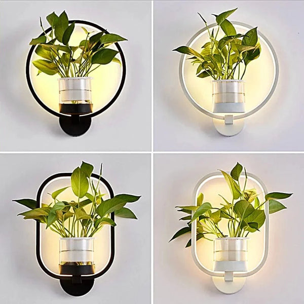 SearchFindOrder Modern Minimalist LED Wall Light