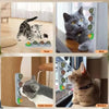 SearchFindOrder Natural Catnip Toys