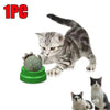 SearchFindOrder Natural Catnip Toys