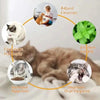 SearchFindOrder Natural Catnip Toys