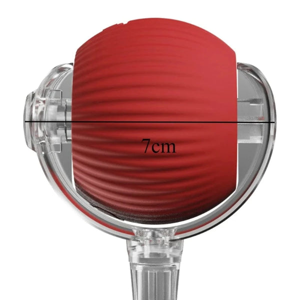 SearchFindOrder Smart Cat Interactive Ball