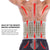 SearchFindOrder Spine Ease Lumbar Relief Belt