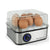 SearchFindOrder United States 8 Egg Cooker