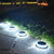 SearchFindOrder White / China LED Solar Glow Path lights (4 Pcs)
