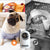SearchFindOrder 1080P HD 2MP Mini WiFi Camera for Indoor Security, Auto-Tracking Baby Monitor with Motion Detection